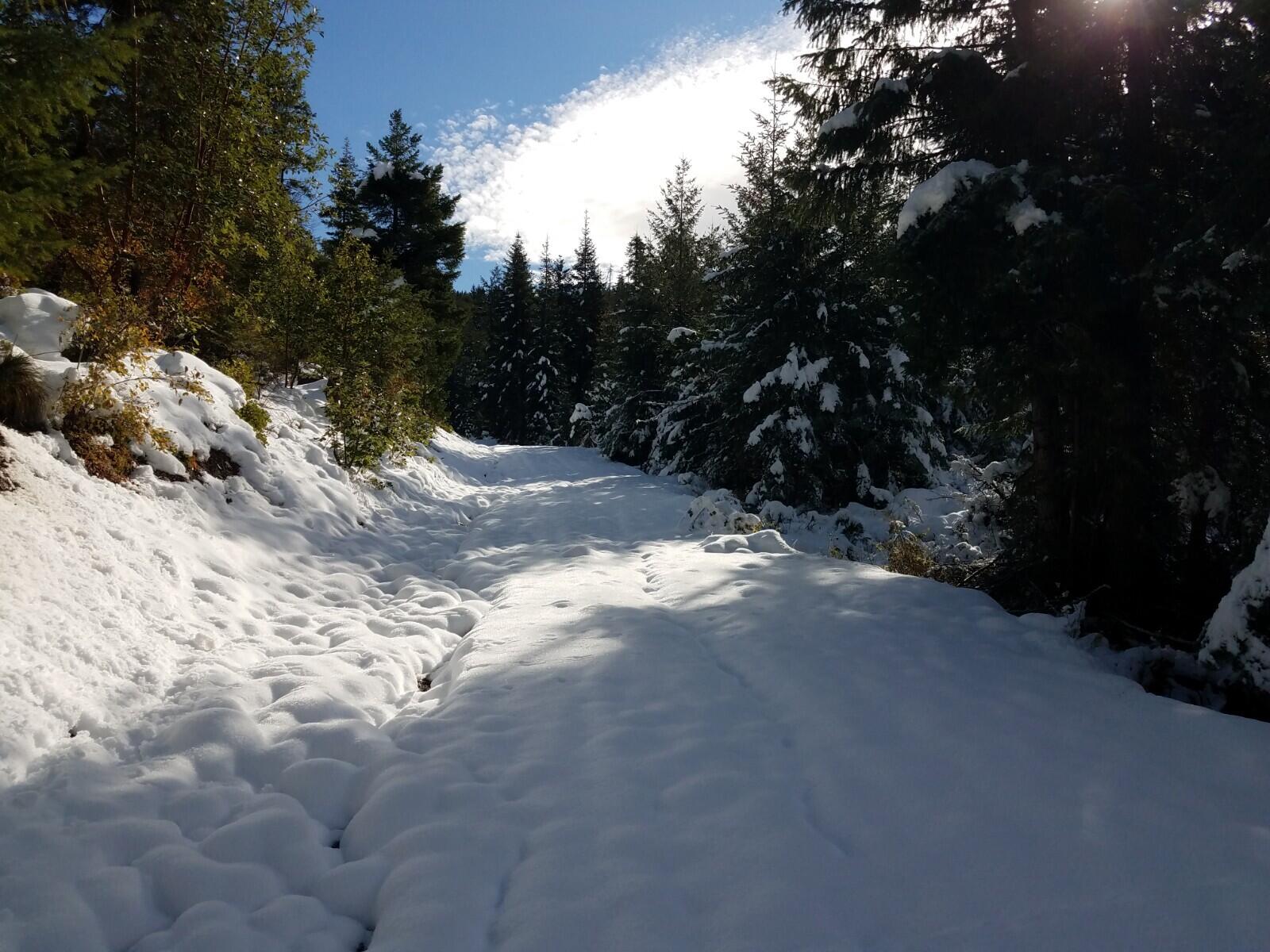 0 Beaver Creek Road Jacksonville, OR 97530 - Photo 19 of 28 20221111_105316