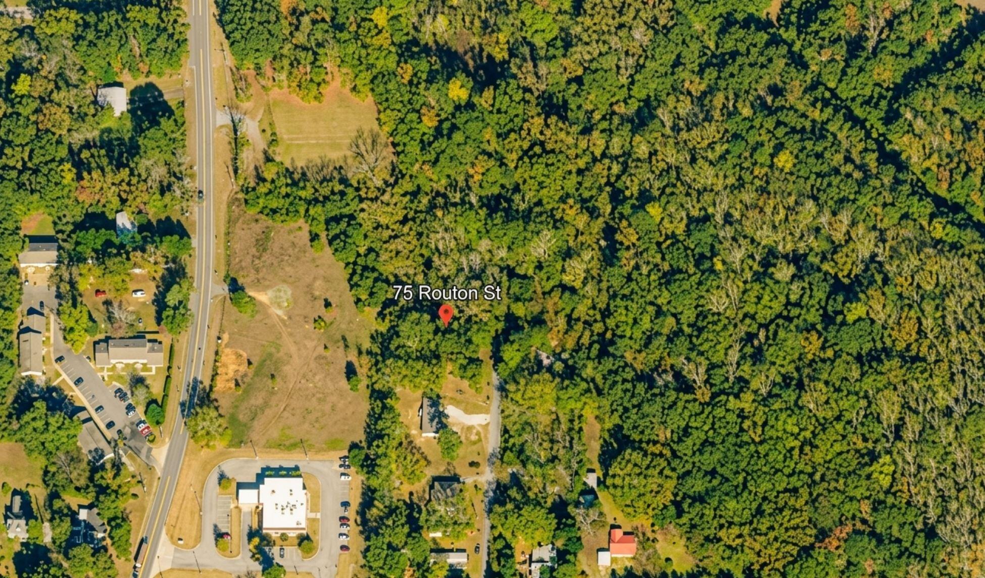 75 Routon Street Warm Springs, GA 31830 - Photo 2 of 9 75 Routon St- aerial view 1