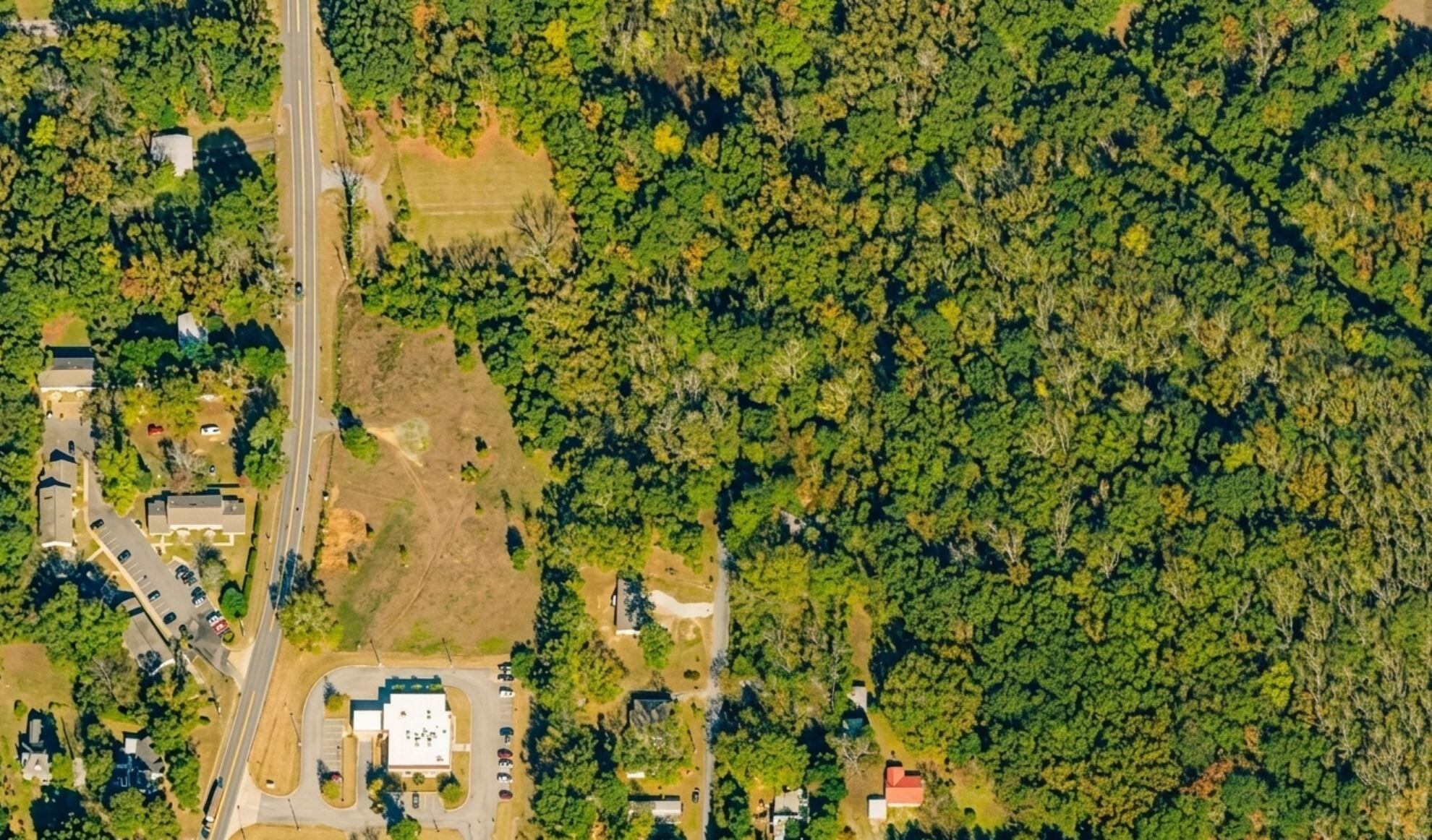 75 Routon Street Warm Springs, GA 31830 - Photo 3 of 9 75 Routon St- aerial view 2