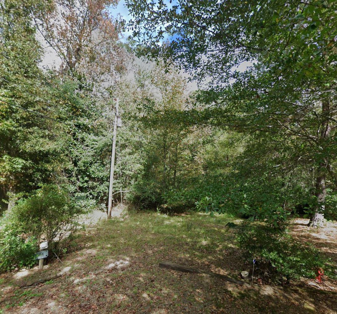 75 Routon Street Warm Springs, GA 31830 - Photo 5 of 9 75 Routon St- street view 2