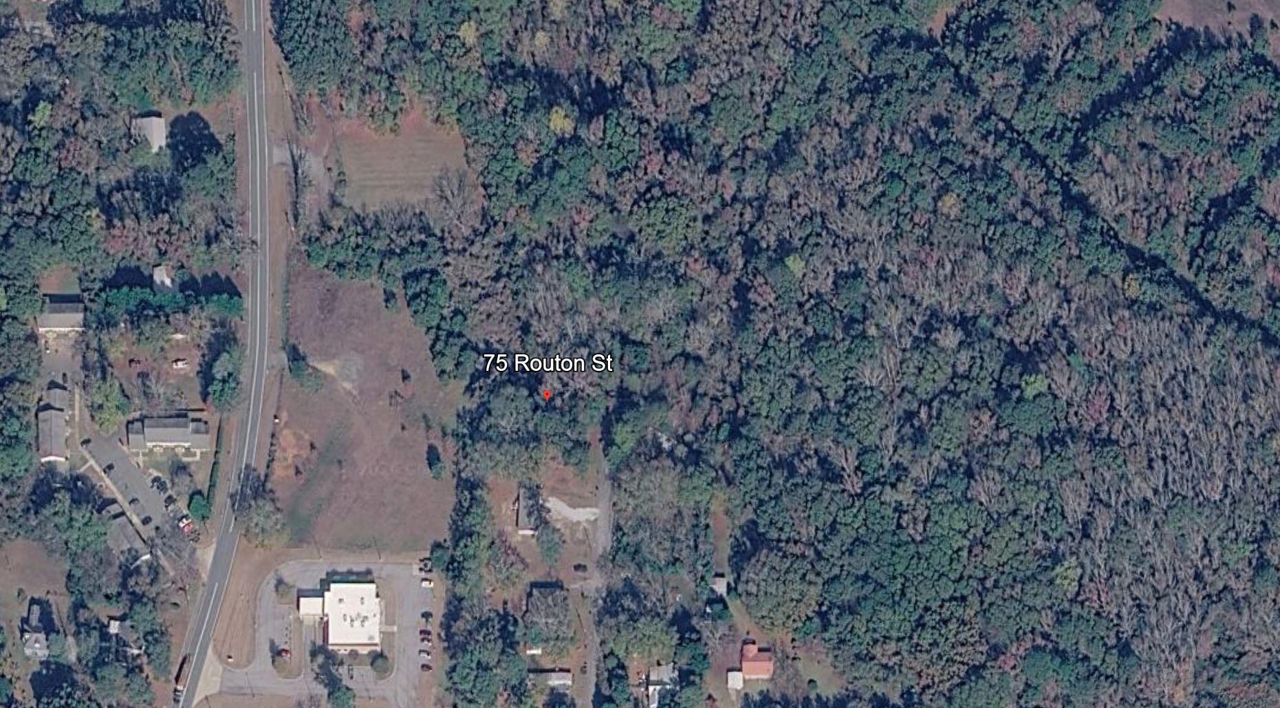 75 Routon Street Warm Springs, GA 31830 - Photo 9 of 9 75 Routon St- aerial view 1