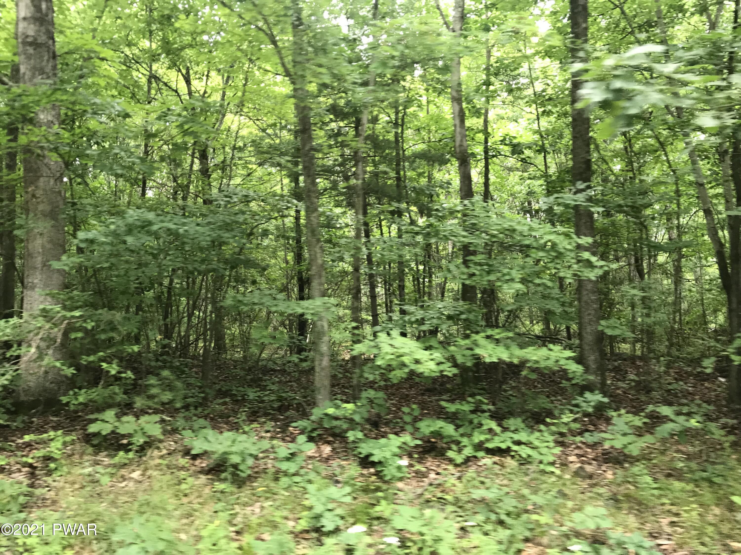112 Swamp Brook Path Hawley, PA 18428 - Photo 6 of 13 a view of a garden