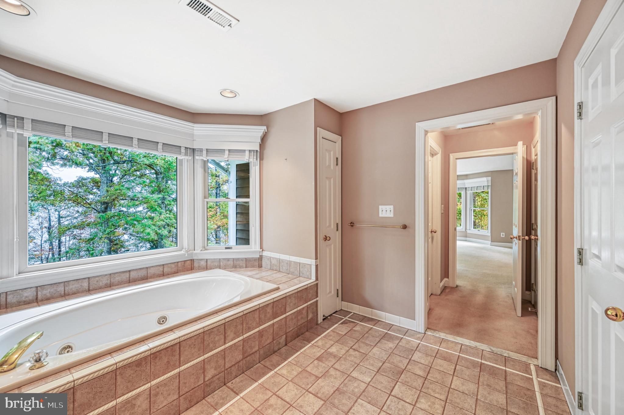 175 Covenant Way Bumpass, VA 23024 - Photo 30 of 140 Serene bathroom with scenic lake views.