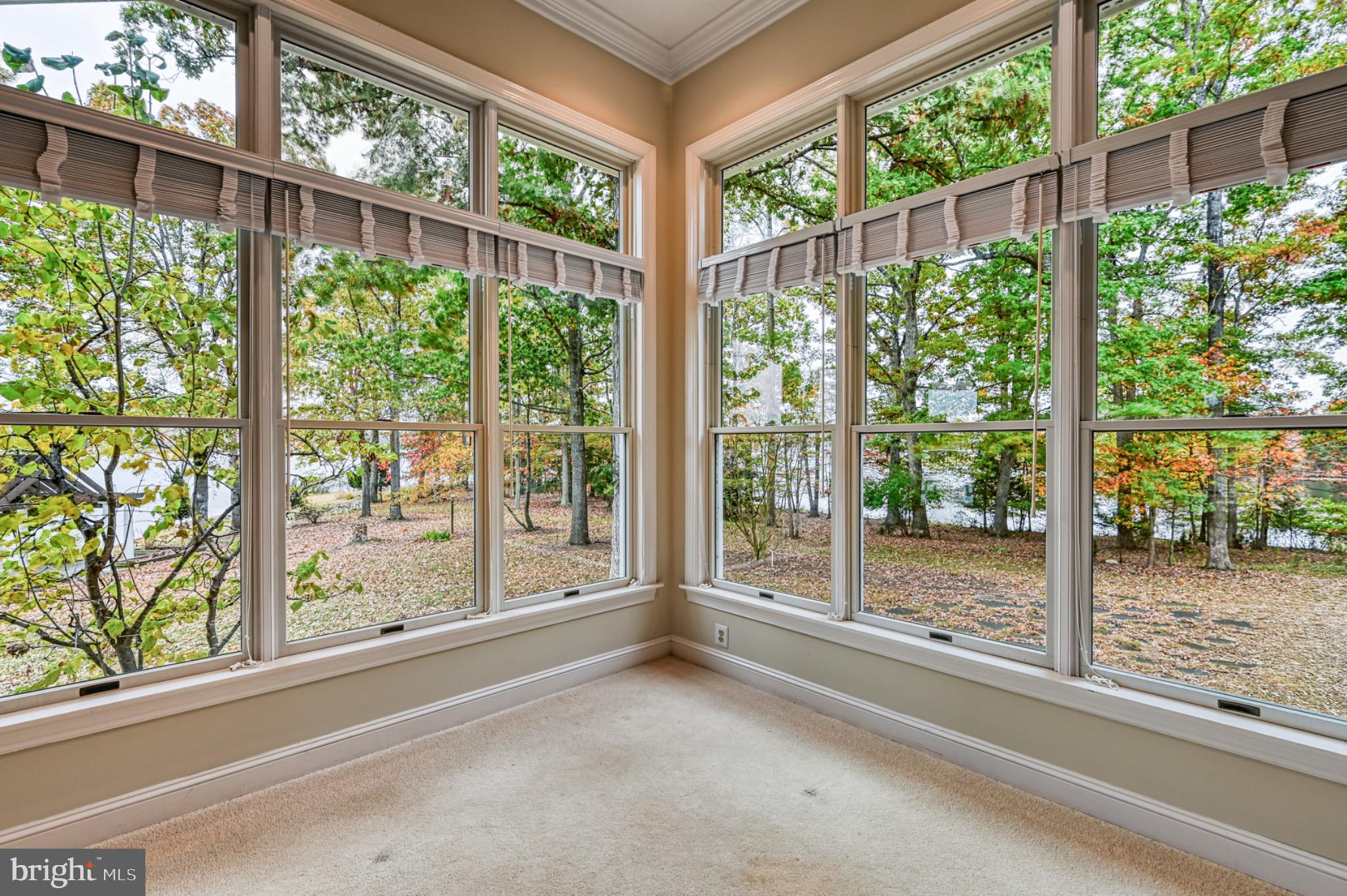 175 Covenant Way Bumpass, VA 23024 - Photo 5 of 140 Serene views framed by nature's beauty.