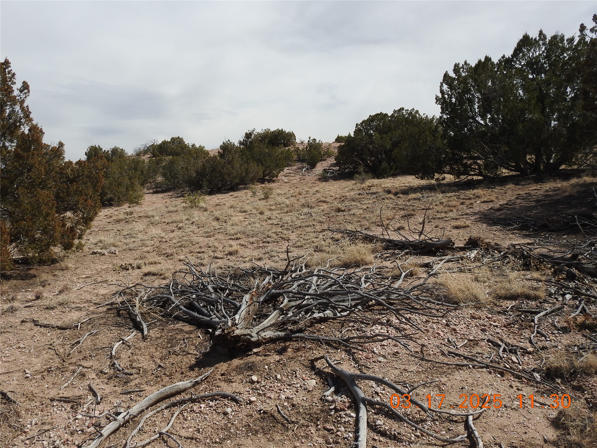 0 Wildass Road Santa Fe, NM 87506 - Photo 4 of 26