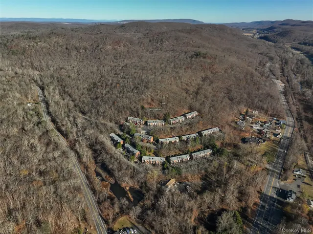 a view of a dry yard
