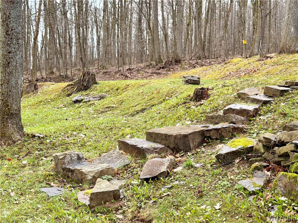 4771 Snow Brook Road Humphrey, NY 14741 - Photo 5 of 36