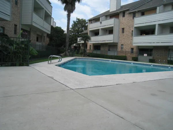 a view of a backyard with plants and a patio