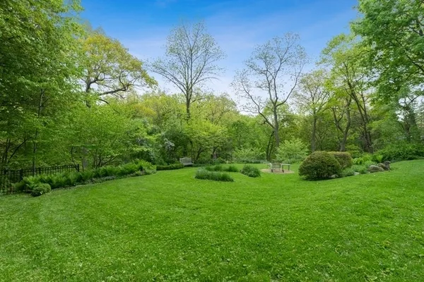 a view of a garden with a tree