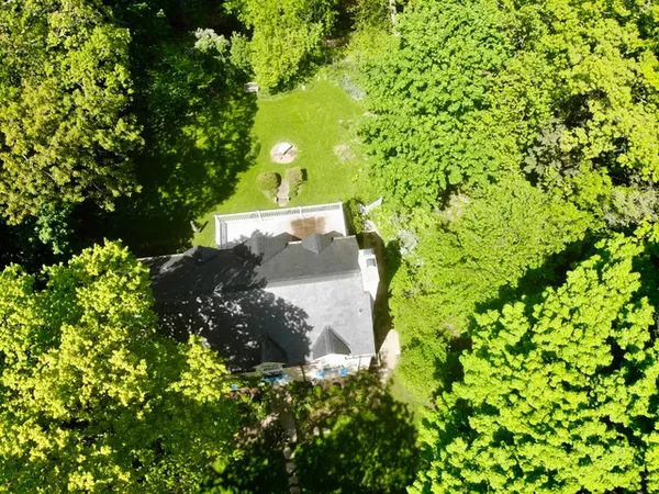 a view of a tree with a yard