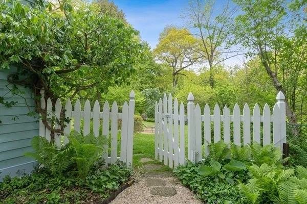 a view of small yard with plants