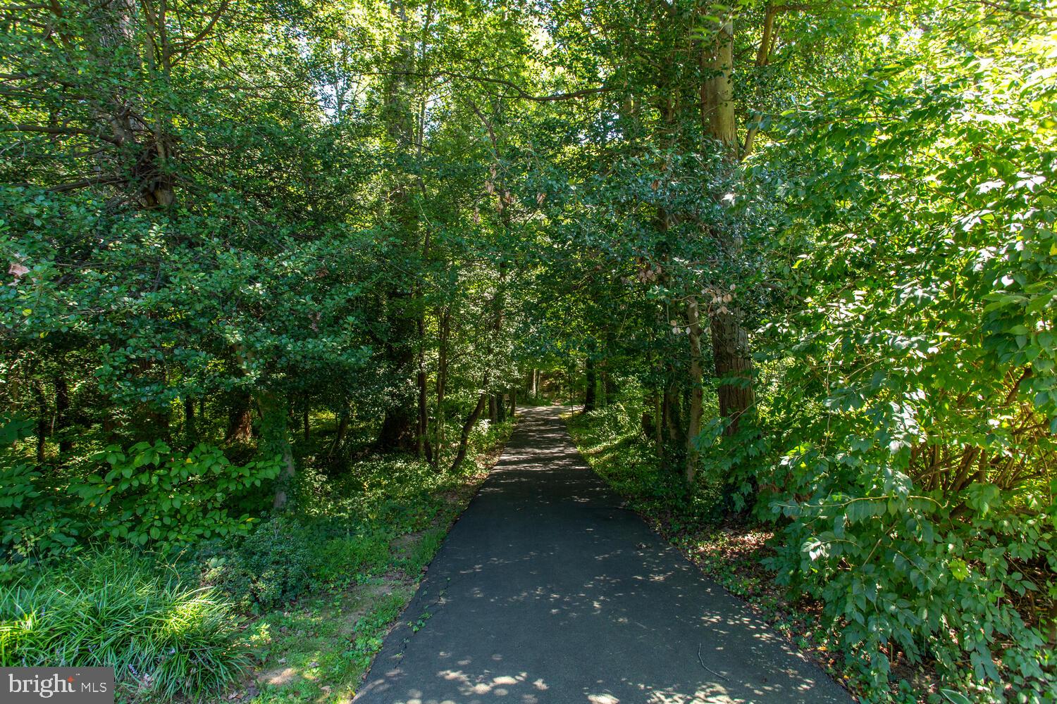 11609 Vantage Hill Road, Unit 21B Reston, VA 20190 - Photo 52 of 74