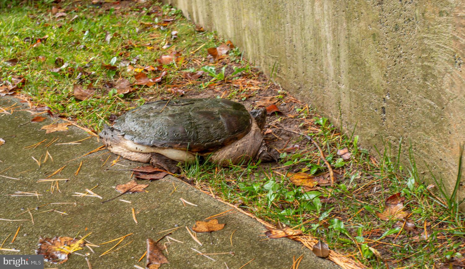 11609 Vantage Hill Road, Unit 21B Reston, VA 20190 - Photo 55 of 74