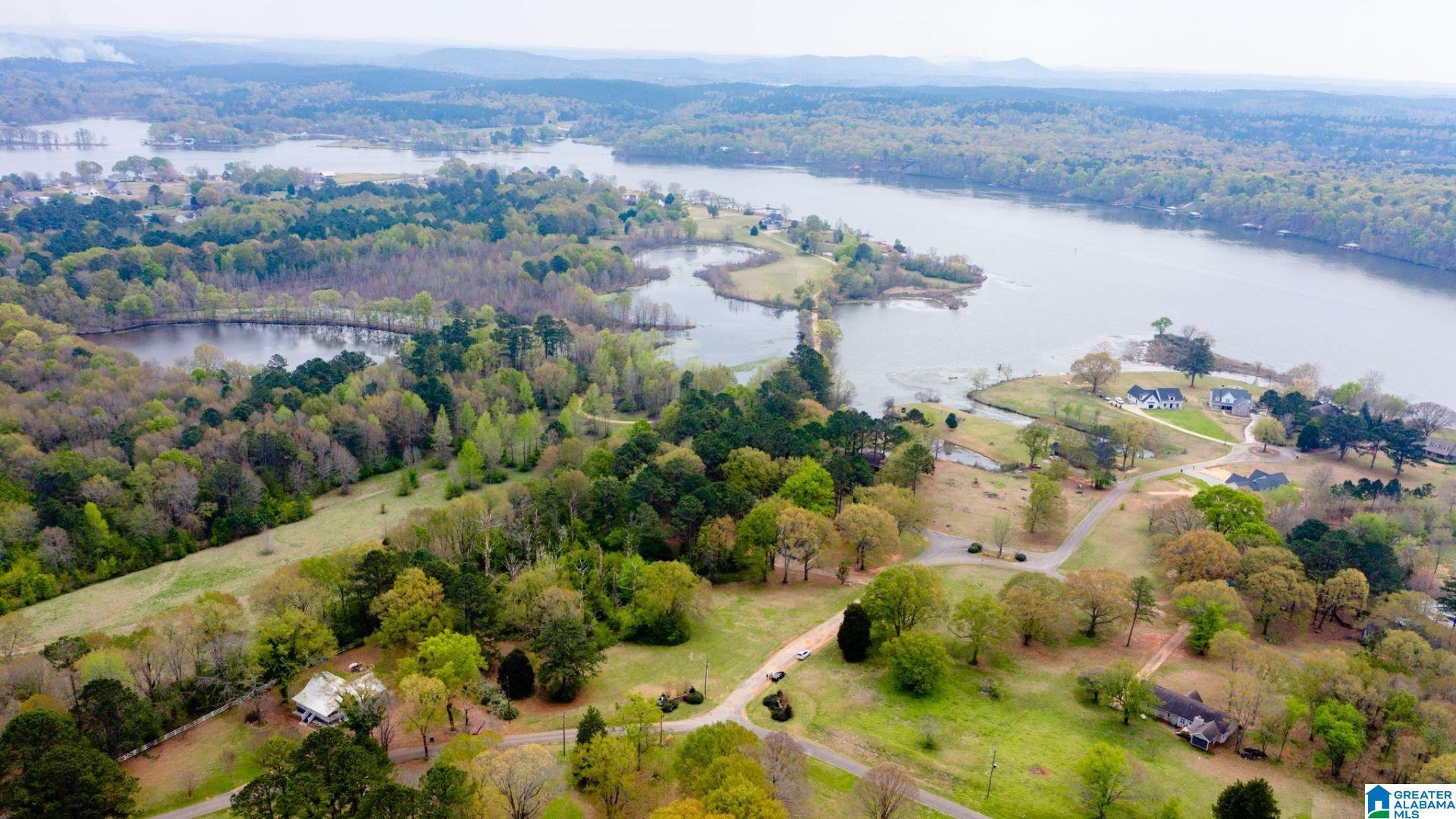 21 Carleton Point Drive, Unit 4 Wilsonville, AL 35186 - Photo 2 of 6