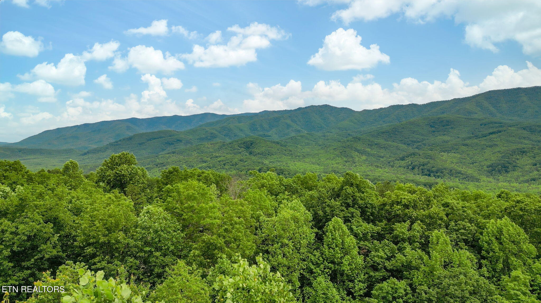 3710 Weber Road, Unit C203 Gatlinburg, TN 37738 - Photo 6 of 36 45-web-or-mls-045--FULL (1)