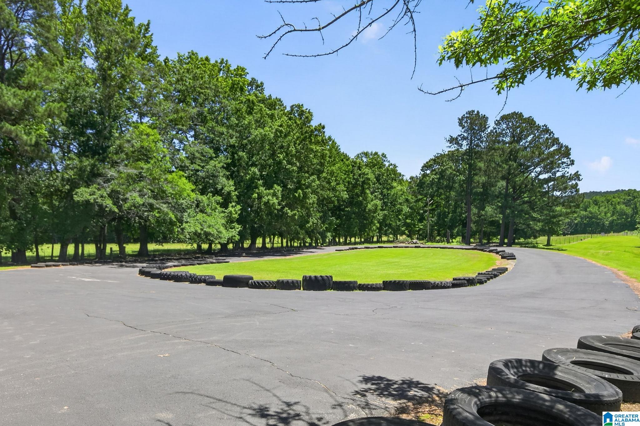 3463 County Road 3 Delta, AL 36258 - Photo 25 of 100