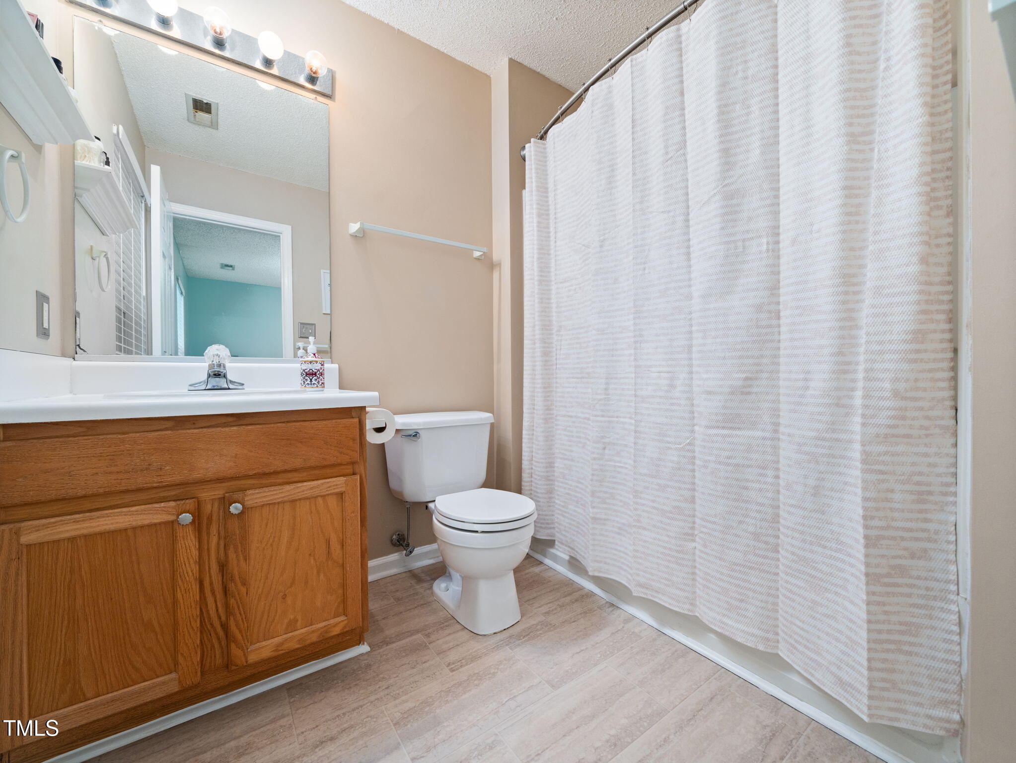 209 Climbing Ivy Court Cary, NC 27511 - Photo 15 of 24 a bathroom with a toilet a sink and a mirror