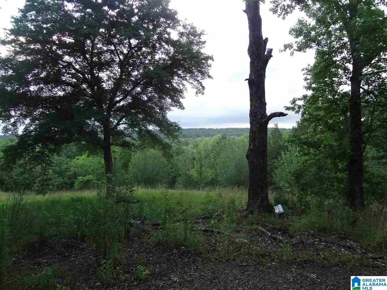225 Pleasant Hills Road Odenville, AL 35120 - Photo 28 of 42