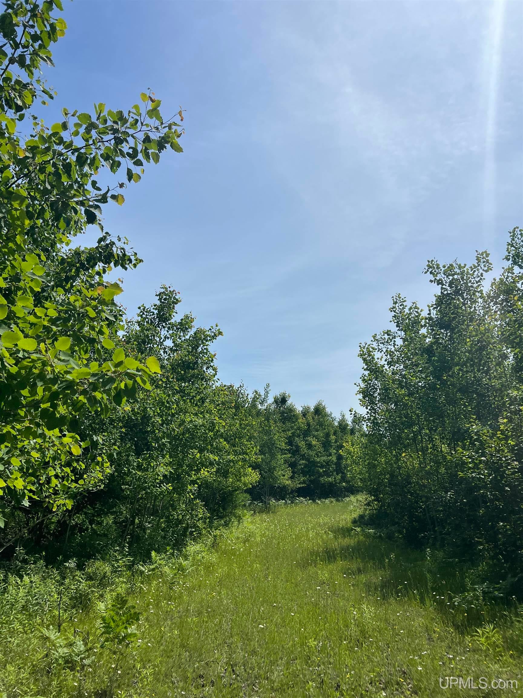 Tbd Chalk Hills Road Daggett, MI 49821 - Photo 12 of 59 Gallery Image 12
