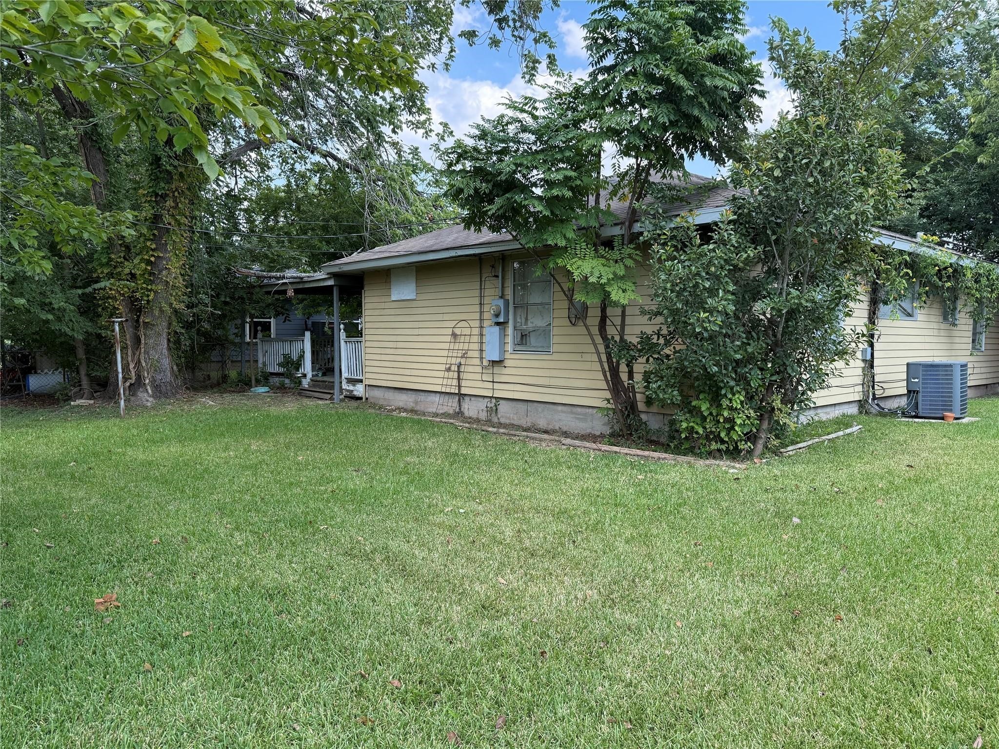 a view of a backyard with plants and large trees