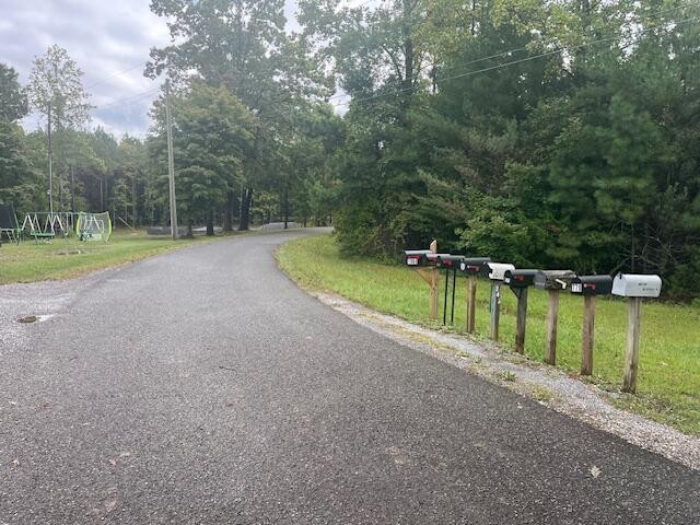 95 Blue Sky Road Dunlap, TN 37327 - Photo 11 of 14 Gallery Image 11