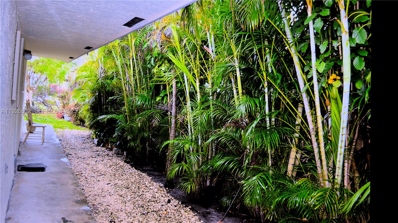 274 Southwest 9th Street, Unit 2 Dania Beach, FL 33004 - Photo 3 of 24 a plant with lots of plants and trees