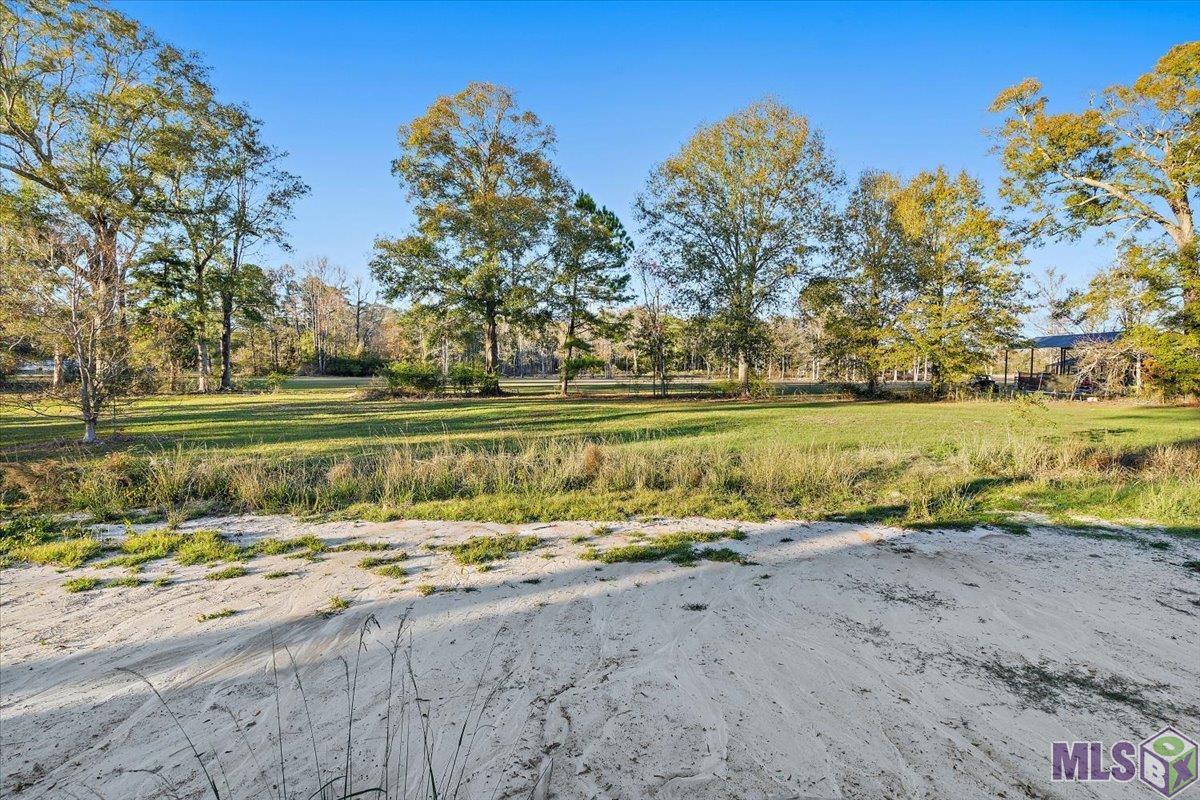 9853 Springfield Road Denham Springs, LA 70706 - Photo 12 of 12