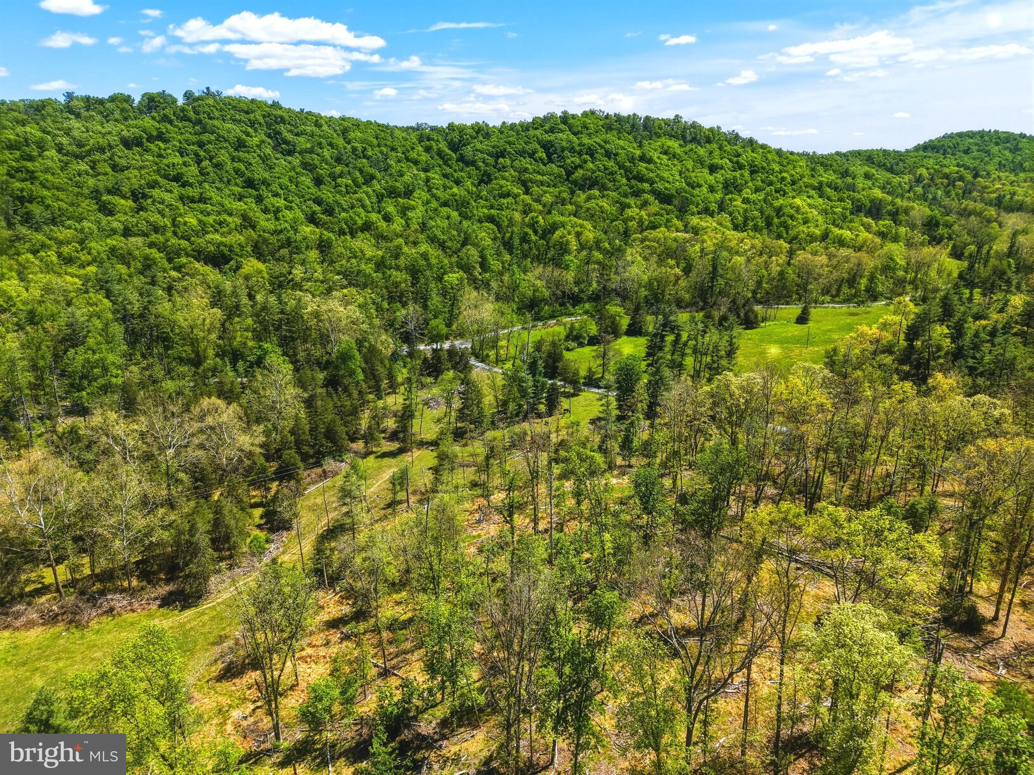 0 Hepner Road Mount Jackson, VA 22842 - Photo 12 of 19