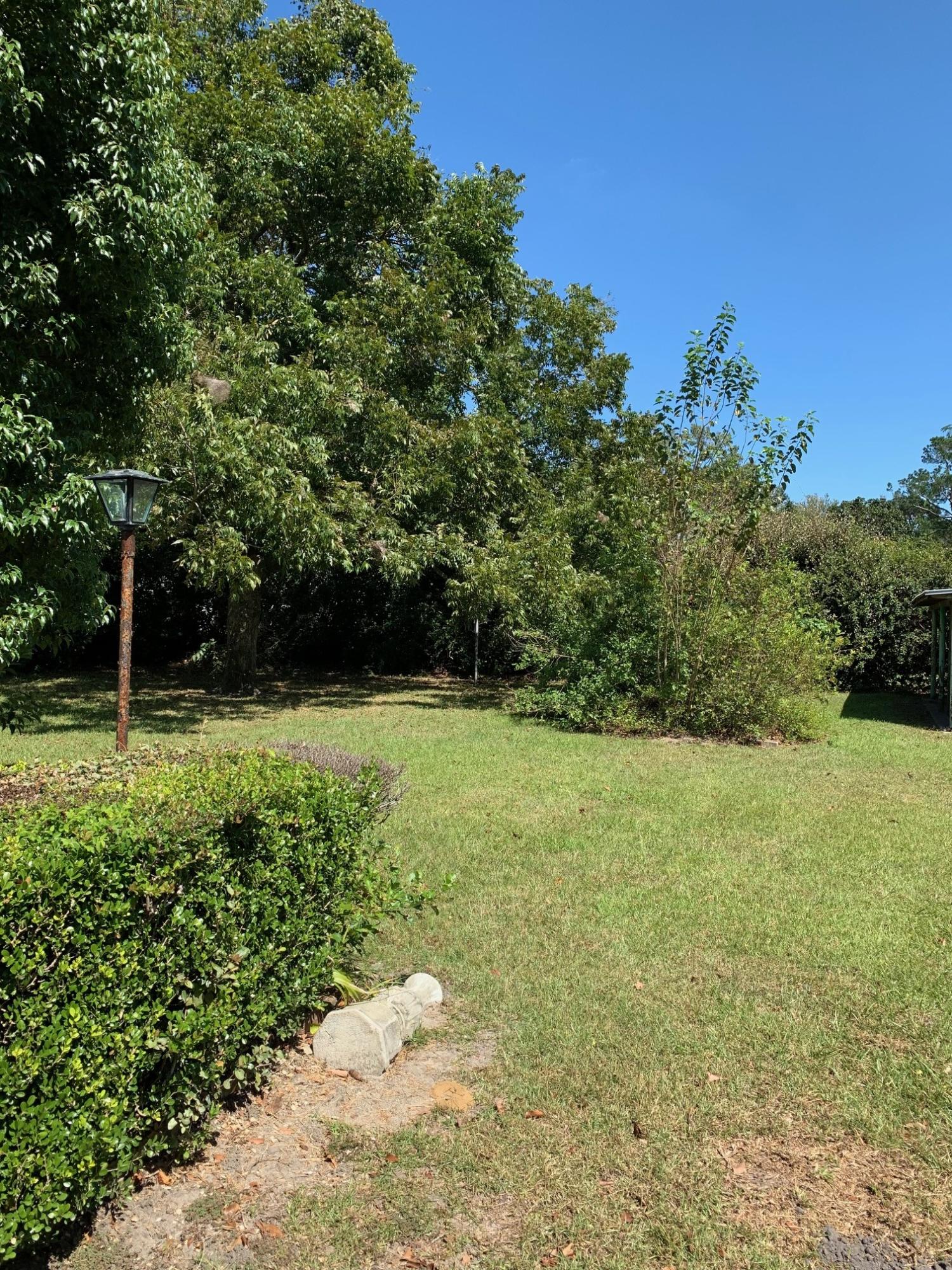 322 Lamont Road Charleston, SC 29407 - Photo 18 of 19 IMG_4273