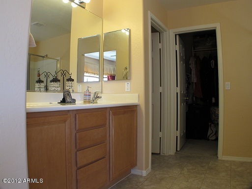 7041 West Beverly Road Laveen, AZ 85339 - Photo 5 of 18 Master Bath