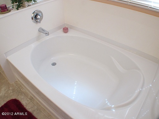 7041 West Beverly Road Laveen, AZ 85339 - Photo 6 of 18 MasterTub