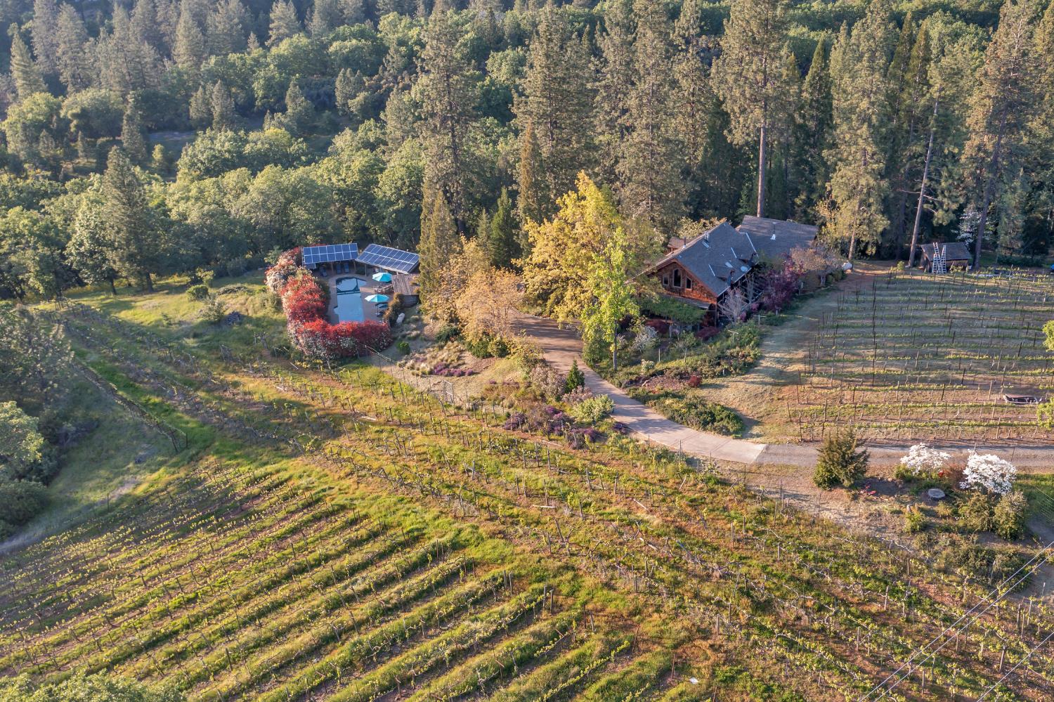 2399 Kingsgate Road Placerville, CA 95667 - Photo 3 of 89
