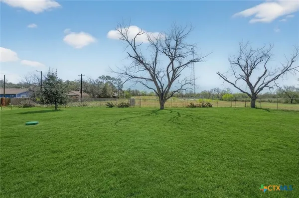 a view of garden with trees