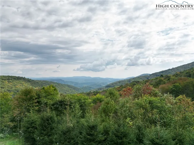 a view of a bunch of trees