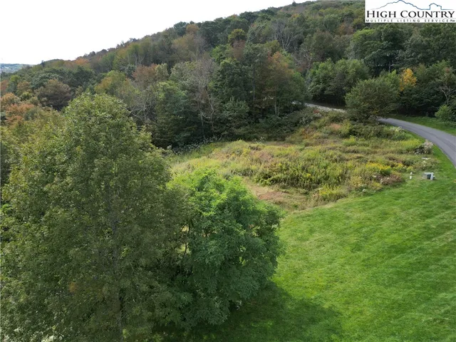 a view of a lush green forest with trees and some houses