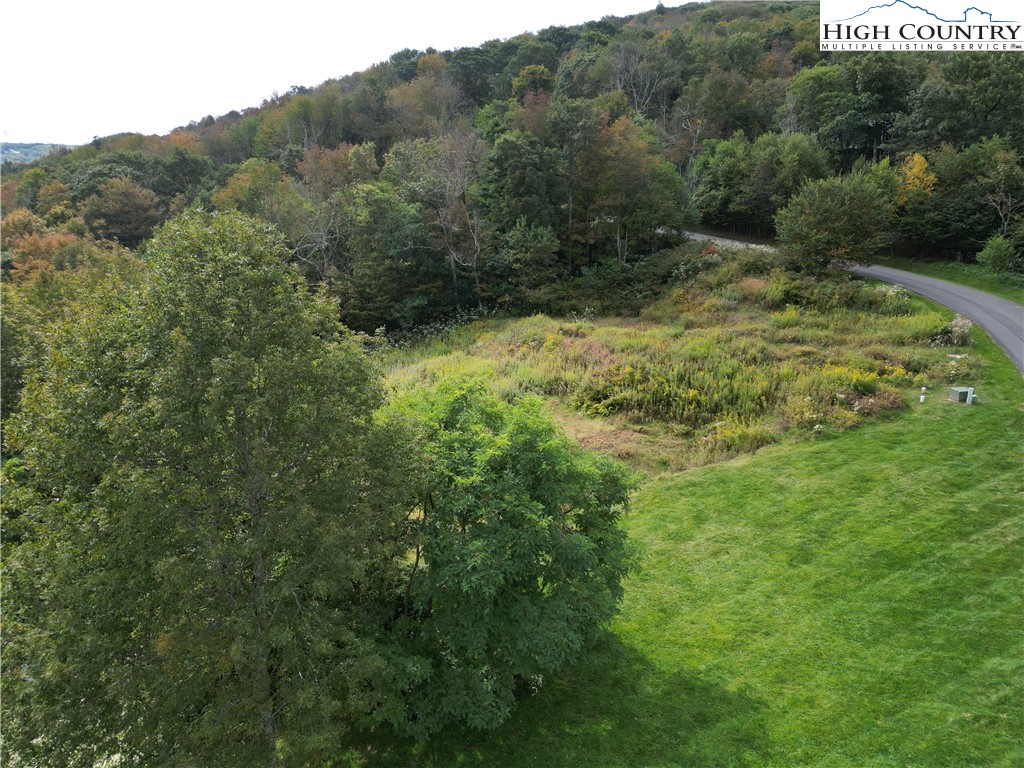 Lot 4 Boone Ridge Road Boone, NC 28607 - Photo 4 of 7 a view of a lush green forest with trees and some houses