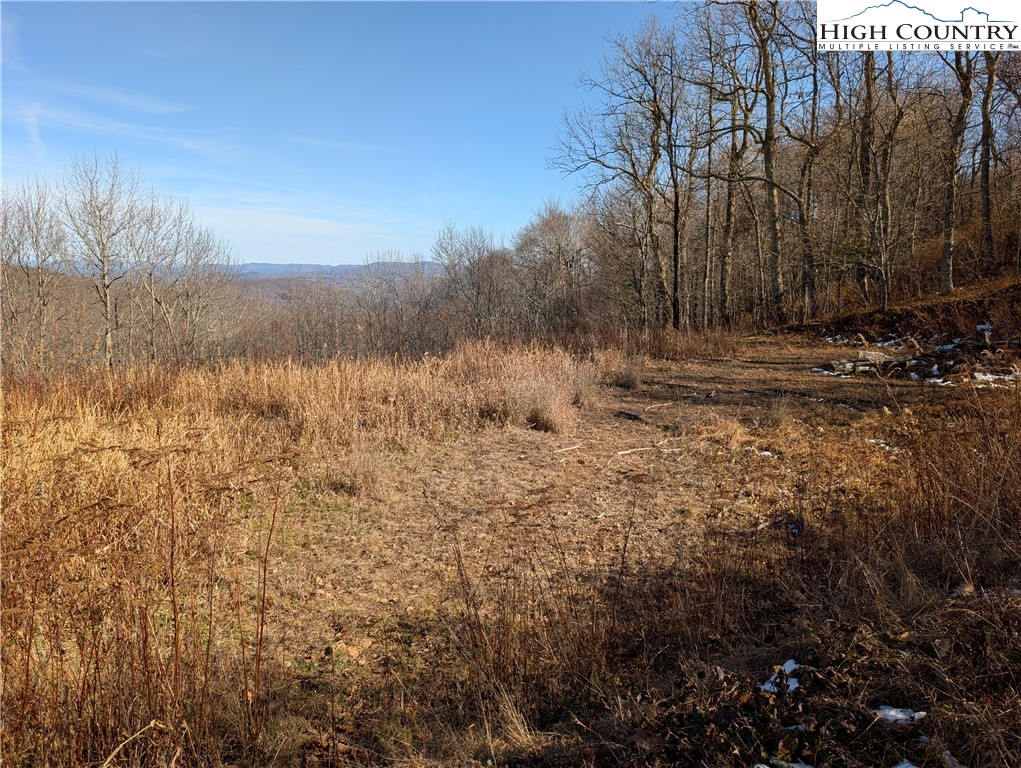 Lot 4 Boone Ridge Road Boone, NC 28607 - Photo 7 of 7 a view of a yard with trees in front of it
