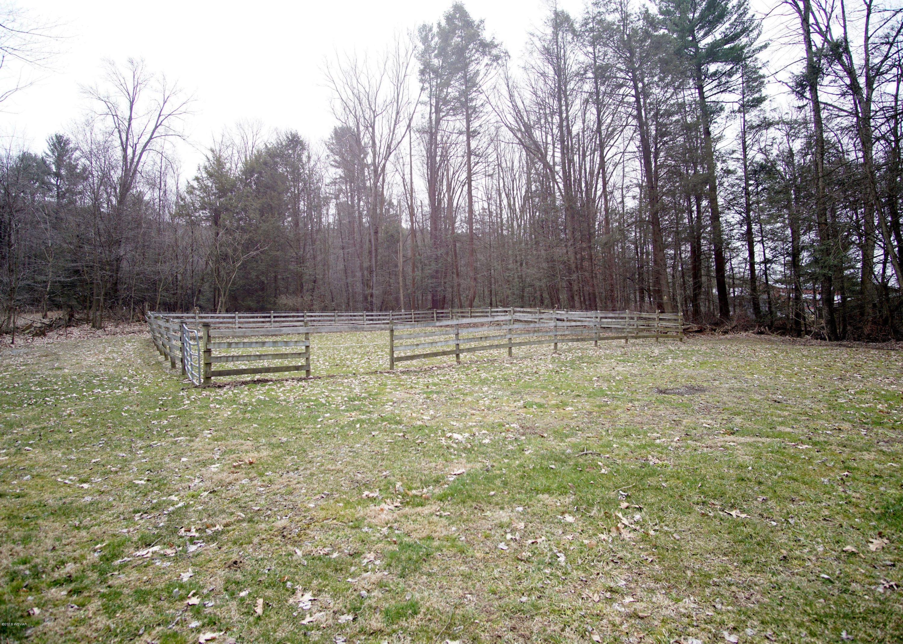 316 East Winter Road Loganton, PA 17747 - Photo 7 of 23 Backyard
