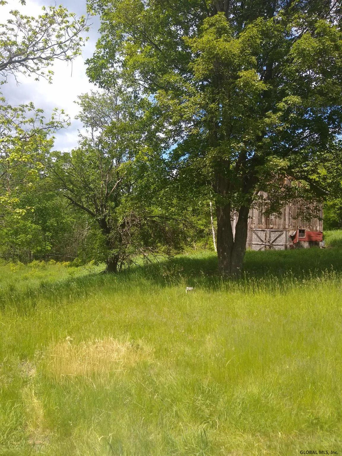 439 Buck Mountain Road Crown Point, NY 12928 - Photo 4 of 14 Photo 4