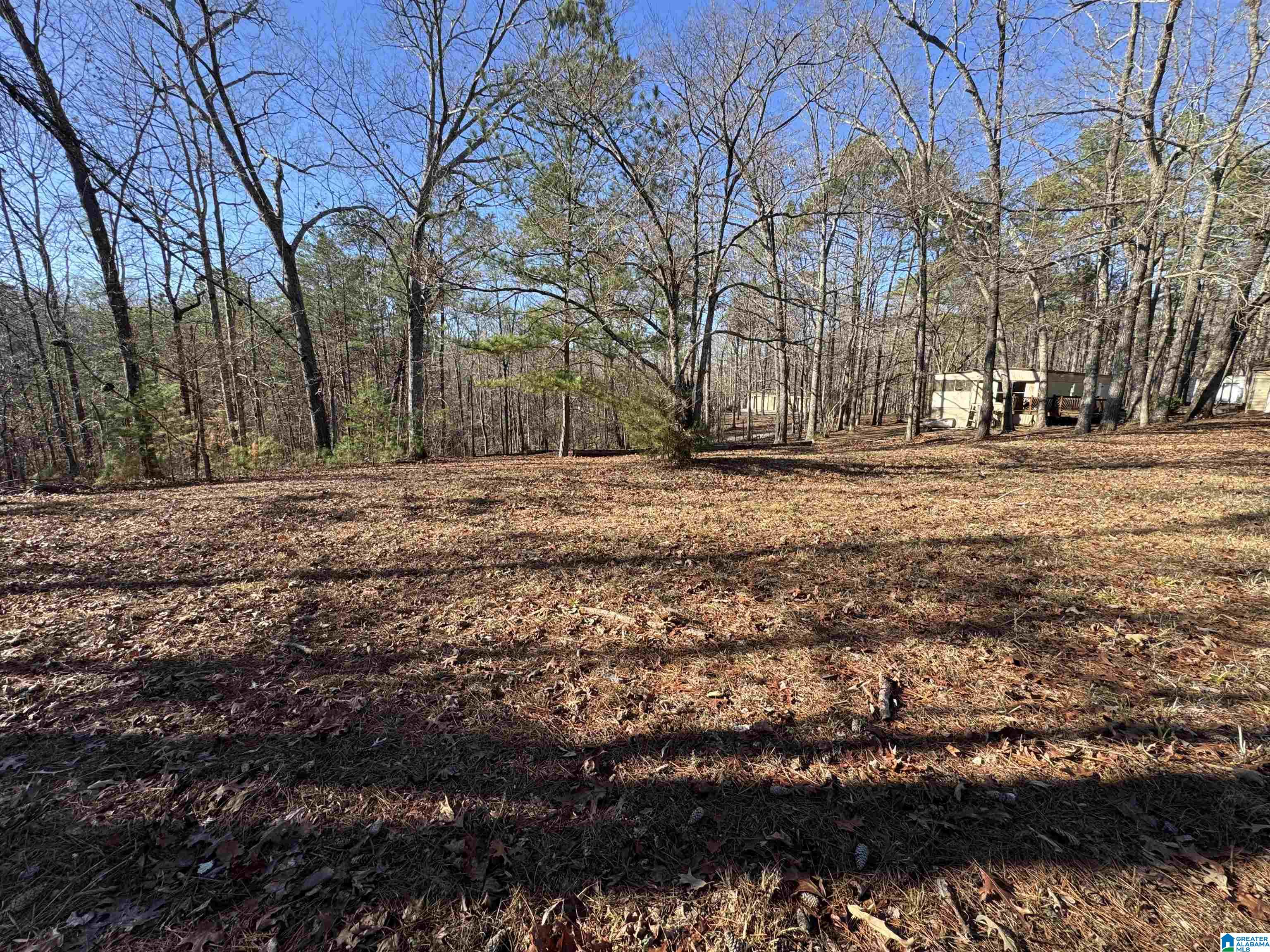 2570 Mt View Road, Unit 13251 Hayden, AL 35079 - Photo 5 of 13