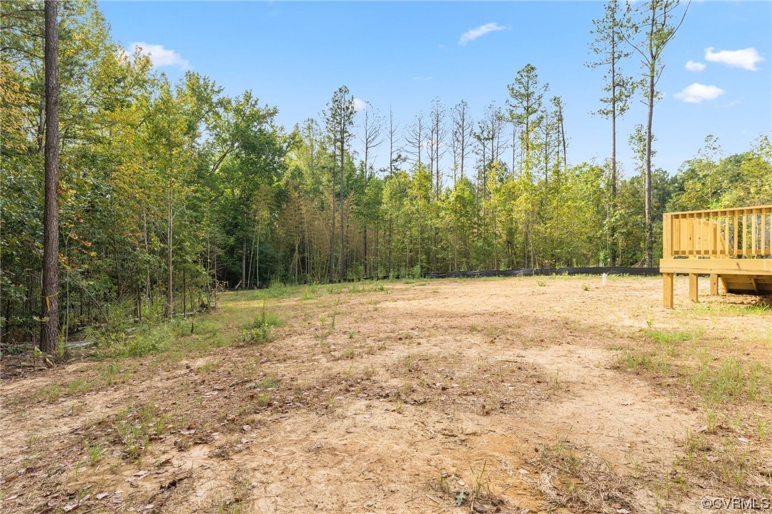 1776 Stones Road Walkerton, VA 23177 - Photo 5 of 21 Gallery Image 5