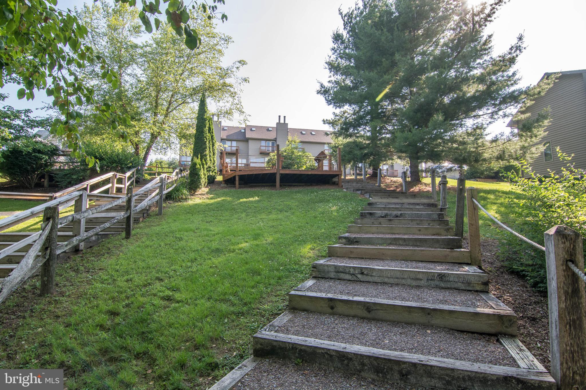 257 Marsh Hill Road, Unit 27 McHenry, MD 21541 - Photo 45 of 64 a view of a garden with lawn chairs and a large tree