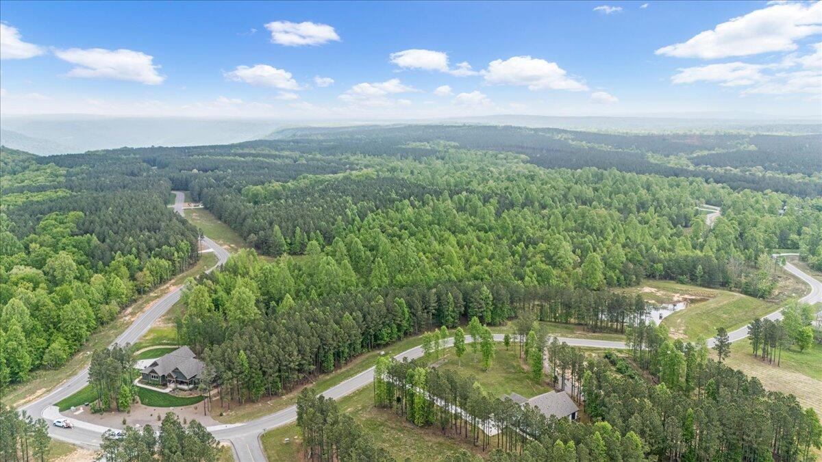 6740 Raulston Falls Drive, Unit JF91 Jasper, TN 37347 - Photo 11 of 22 11-DJI_20250429115851_0116_D
