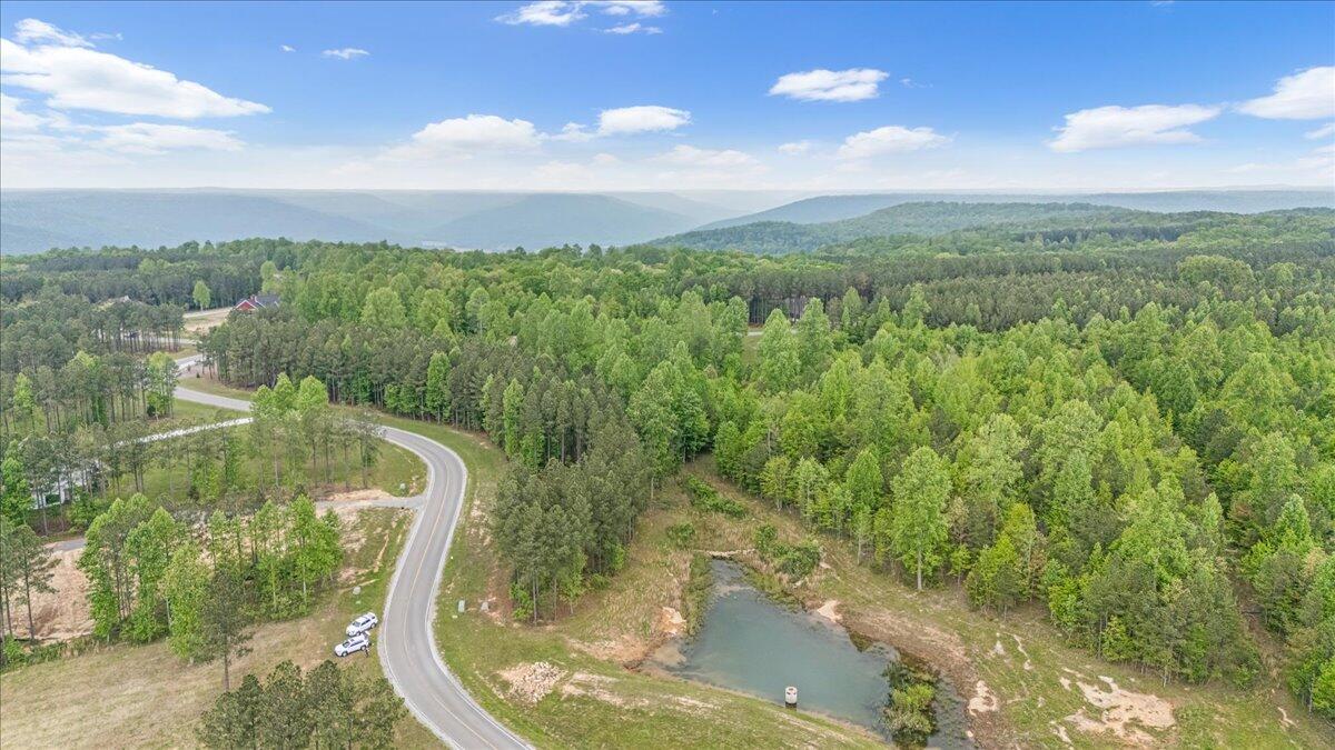 6740 Raulston Falls Drive, Unit JF91 Jasper, TN 37347 - Photo 13 of 22 13-DJI_20250429115712_0110_D