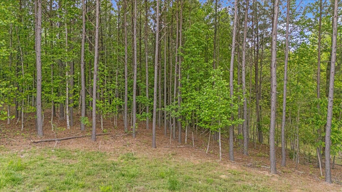 6740 Raulston Falls Drive, Unit JF91 Jasper, TN 37347 - Photo 4 of 22 04-DJI_20250429120355_0140_D
