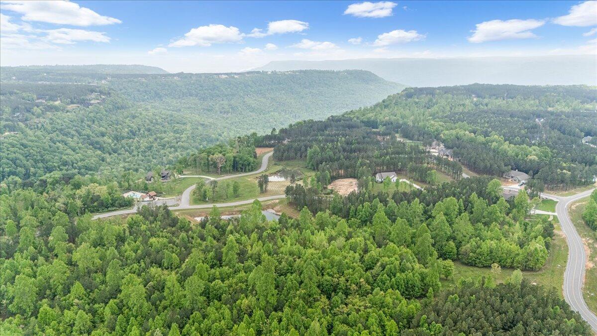 6740 Raulston Falls Drive, Unit JF91 Jasper, TN 37347 - Photo 5 of 22 05-DJI_20250429120227_0137_D