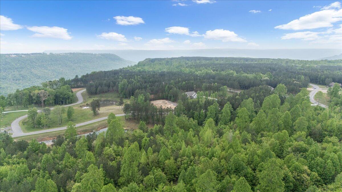 6740 Raulston Falls Drive, Unit JF91 Jasper, TN 37347 - Photo 6 of 22 06-DJI_20250429120141_0134_D