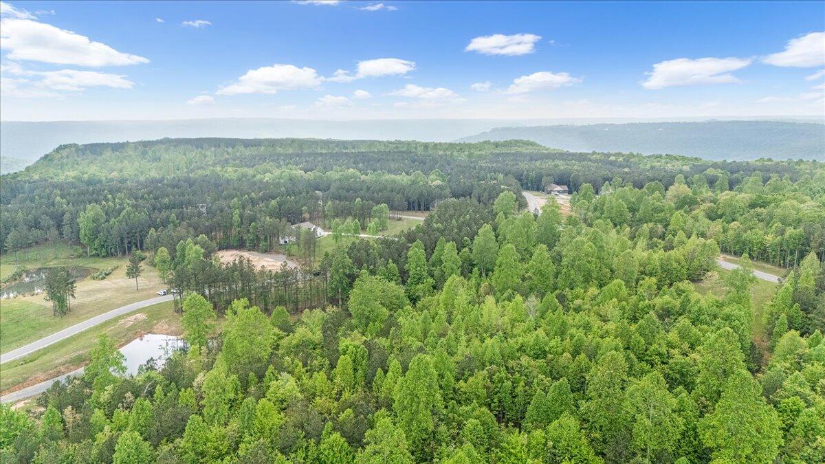 6740 Raulston Falls Drive, Unit JF91 Jasper, TN 37347 - Photo 7 of 22 07-DJI_20250429120130_0131_D