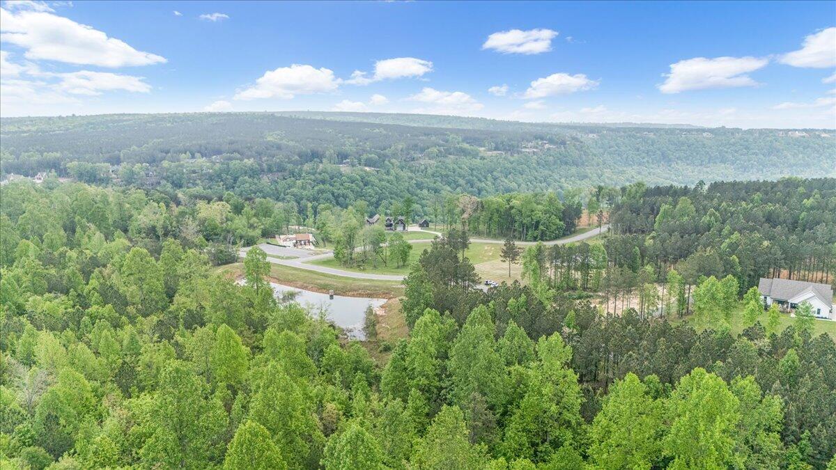 6740 Raulston Falls Drive, Unit JF91 Jasper, TN 37347 - Photo 9 of 22 09-DJI_20250429120042_0125_D