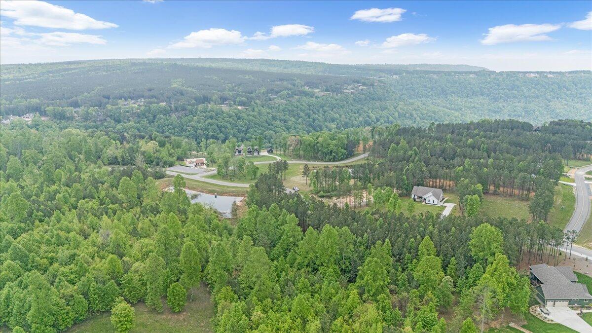 6740 Raulston Falls Drive, Unit JF91 Jasper, TN 37347 - Photo 10 of 22 10-DJI_20250429120015_0122_D